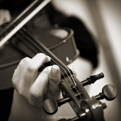 รับสอนเล่นเครื่องดนตรี Violin รูปที่ 6