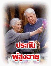 ้้http://www.chatthailife.com รูปที่ 2