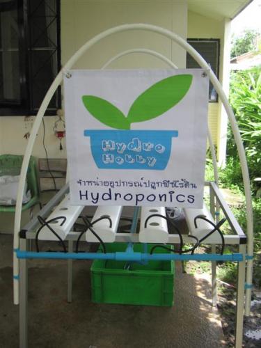 ขายเครื่องปลูกผักไฮโดรโปนิกส์ ไม่ใช้ดิน ปลอดสารพิษ ติดต่อ 086-9991839หรือwww.thaihydrohobby.com รูปที่ 1