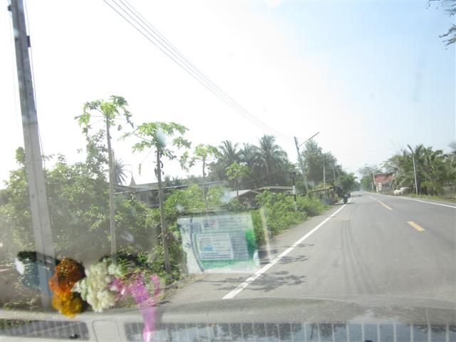 ที่ดินพัฒนาคลอง 7 รังสิต( Land Development Rangsit Klong 7)  รูปที่ 4