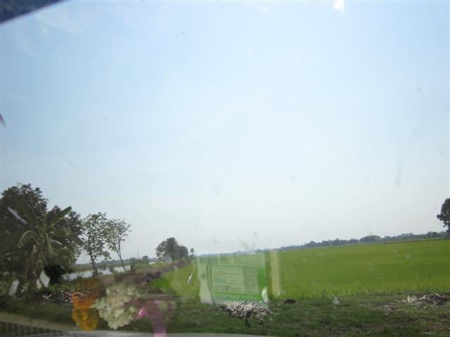 ที่ดินพัฒนาคลอง 7 รังสิต( Land Development Rangsit Klong 7)  รูปที่ 2