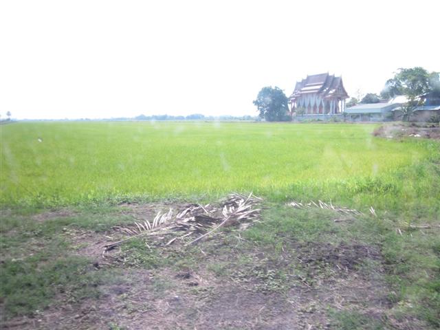 ที่ดินพัฒนาคลอง 7 รังสิต( Land Development Rangsit Klong 7)  รูปที่ 3