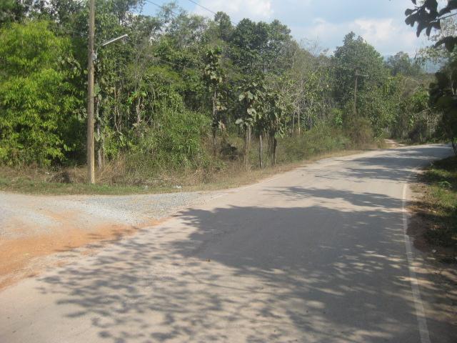 ที่ดิน 25 ไร่ อ.สันกำแพง(Land 25 rai, San Kamphaeng)  รูปที่ 2