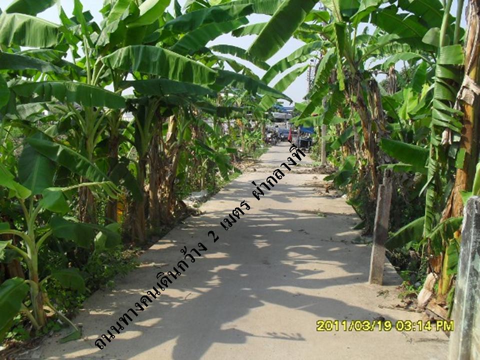 ถูกที่สุด สวยที่สุด ในทำเลนี้ ที่ดินติดริมน้ำ ติดถนน ซ.วัดกู้ ปากเกร็ด ด่วน........ รูปที่ 6