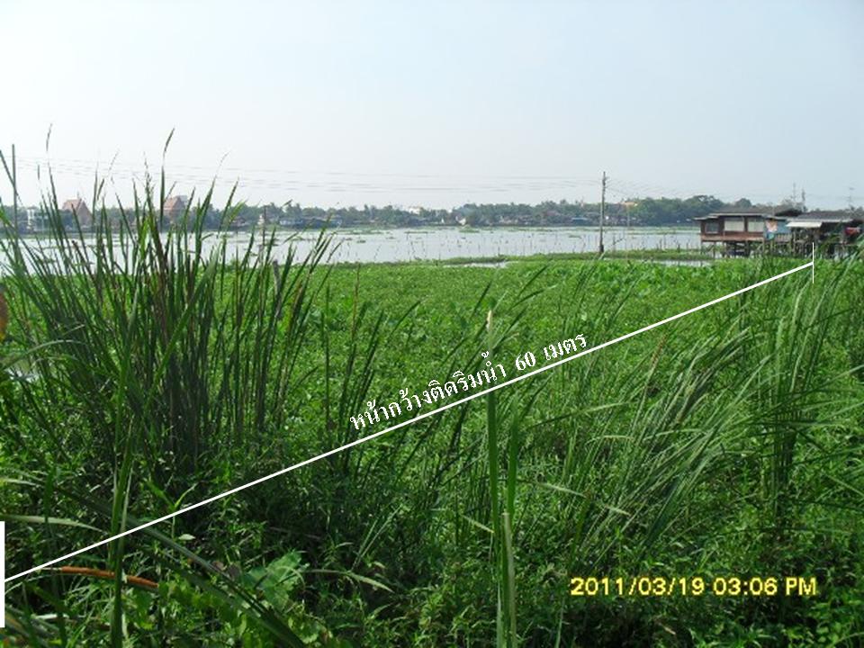 ถูกที่สุด สวยที่สุด ในทำเลนี้ ที่ดินติดริมน้ำ ติดถนน ซ.วัดกู้ ปากเกร็ด ด่วน........ รูปที่ 3