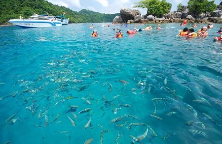 ขายกิจการรีสอร์ทที่เกาะกูด กิ่งอ.เกาะกูด จ.ตราด เนื้อที่ 71 ไร่ 90 ล้าน บาท 081- 4948983 รูปที่ 5