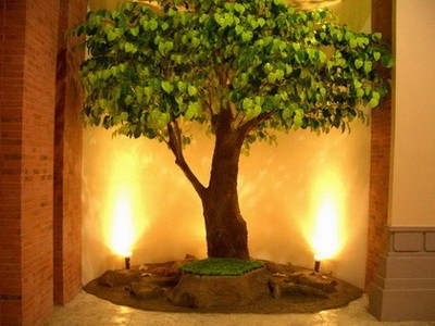 ศุภชัยต้นไม้ประดิษฐ์,ต้นไม้ Fiber (Artificial Tree) ขาย - ให้เช่า รูปที่ 6