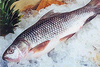 รูปย่อ PAA: สารฆ่าเชื้อในน้ำแข็ง (แช่ผัก แช่ปลา อาหารสด) รูปที่1
