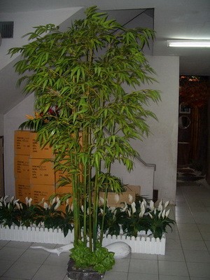 ศุภชัยต้นไม้ประดิษฐ์,ต้นไม้ Fiber (Artificial Tree) ขาย - ให้เช่า รูปที่ 2