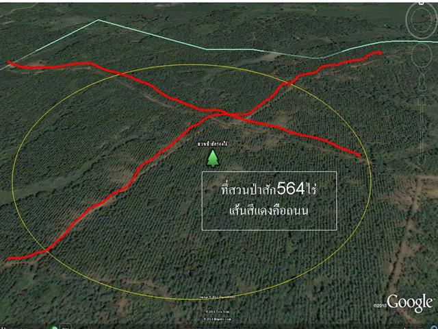 ที่ดินลำปางพร้อมสวนไม้สัก 564 ไร่(Lampang land with garden teak 564 rai) รูปที่ 3