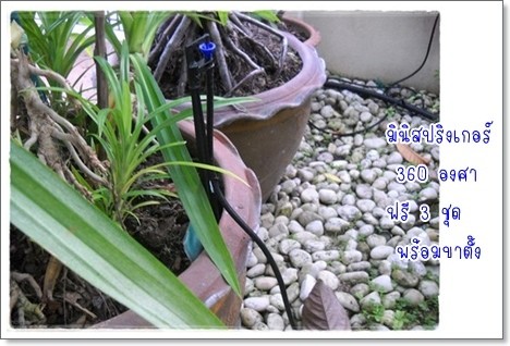เครื่องตั้งเวลารดน้ำต้นไม้ Ggarden ระบบเปิดปิดน้ำอัตโนมัติ เพื่อสวนของคุณ 0897771815 รูปที่ 6