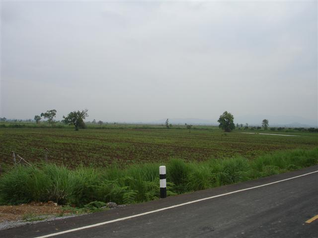 ที่นาพญาเม็งราย 2,000 - 3,500 ไร่ เชียงราย(Paddy Phaya Meng Rai Chiang Rai)  รูปที่ 4