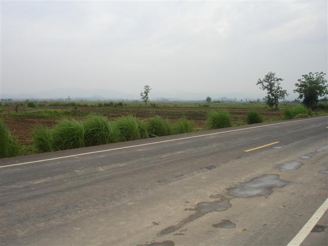 ที่นาพญาเม็งราย 2,000 - 3,500 ไร่ เชียงราย(Paddy Phaya Meng Rai Chiang Rai)  รูปที่ 5
