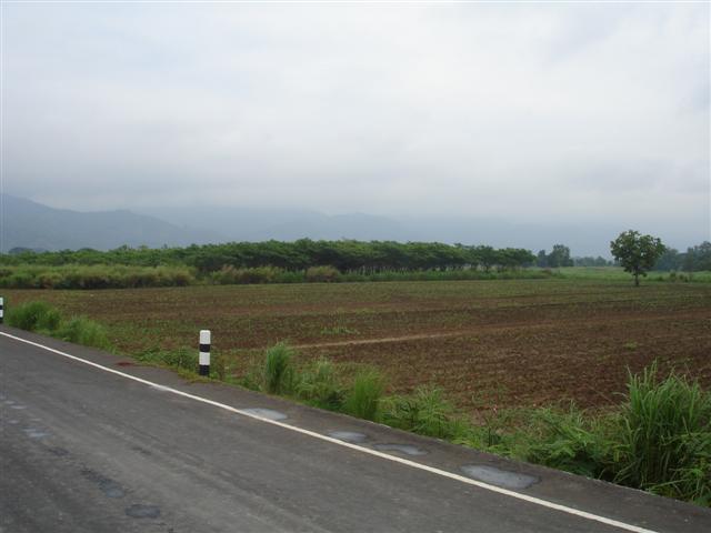 ที่นาพญาเม็งราย 2,000 - 3,500 ไร่ เชียงราย(Paddy Phaya Meng Rai Chiang Rai)  รูปที่ 3