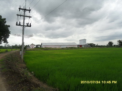 ขายโรงสีข้าว 100 เกวียน ทีนครสวรรค์ พร้อมโรงอบข้าว รูปที่ 2