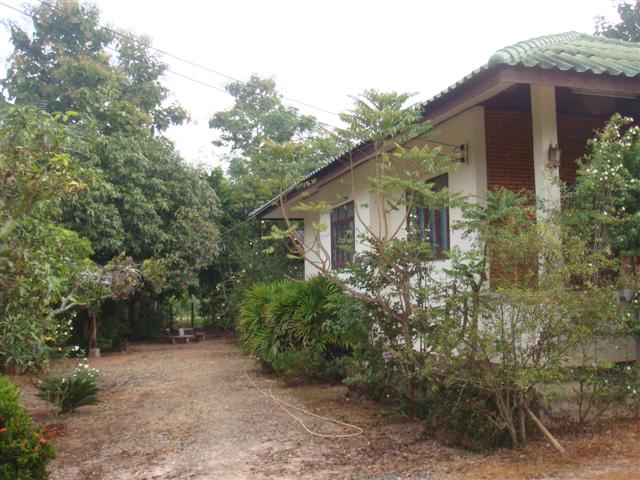 บ้านเดี่ยวสงบเงียบและอากาศดี+(Quiet house and a nice) รูปที่ 4
