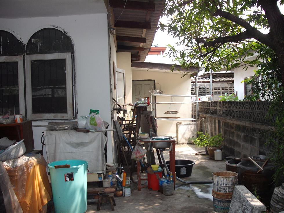 ขายด่วน บ้านเดี่ยวชั้นเดียว 4 ห้องนอน 3 ห้องน้ำ 1 ห้องรับแขก หมู่บ้านโอสถิต 1 ถนนลาดพร้าว ซอยโชคชัย 4 แยก 31/1 เข้าซอยเพ รูปที่ 5