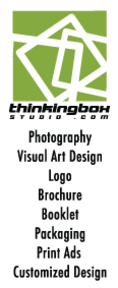 ออกแบบงาน Graphic Design/Visual Arts เจ๋งๆ โดนใจ Logo Brochure Coporate Identity