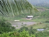 รูปย่อ ที่ดินสวนผสม เชียงราย(Mixed Land Chiang Rai) รูปที่1