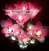 รูปย่อ ขายส่ง โคมไฟดอกไม้ผ้าใยบัว ของแต่งบ้านดอกไม้ประดิษฐ์ผ้าใยบัวราคาถูก  รูปที่2