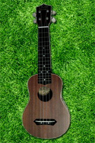 ขาย ukulele (มีสินค้า ราคาไม่แพง) รูปที่ 1