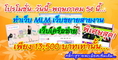 บริการรับทำเว็บไซต์ MLM เว็บเครือข่าย เว็บขยายสายงาน ราคาพิเศษ...