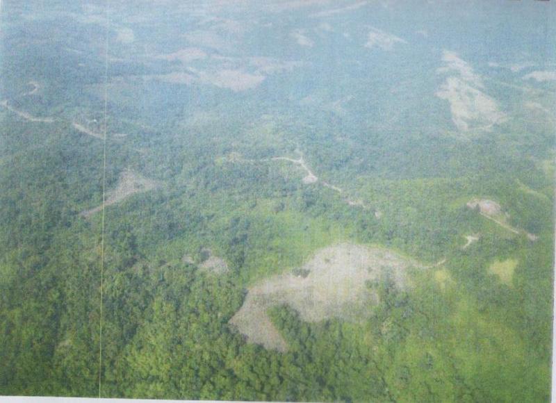 ที่ดิน 8,000 ไร่ เพชรบูรณ์(Farm land Phetchabun 8000 Rai) รูปที่ 2