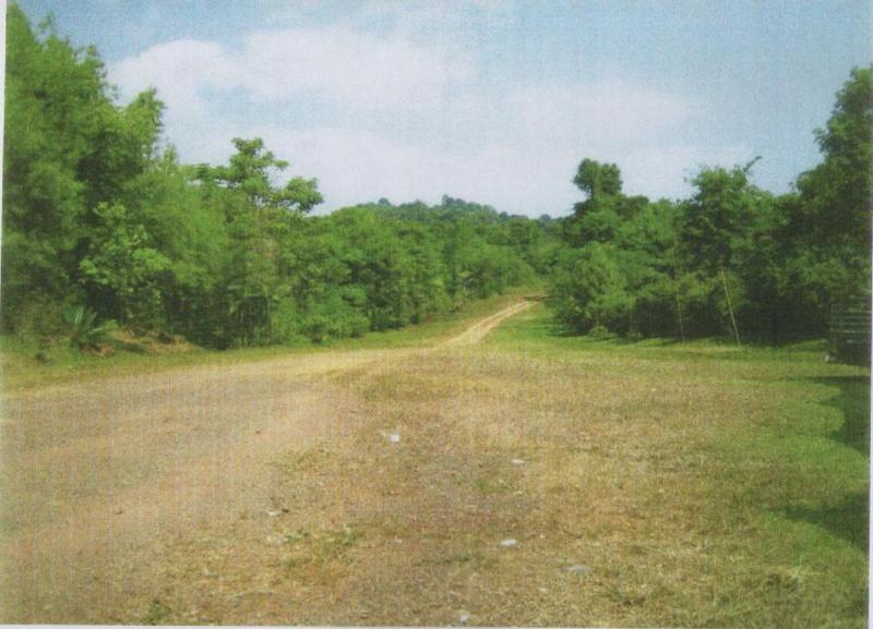 ที่ดิน 8,000 ไร่ เพชรบูรณ์(Farm land Phetchabun 8000 Rai) รูปที่ 3