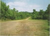 รูปย่อ ที่ดิน 8,000 ไร่ เพชรบูรณ์(Farm land Phetchabun 8000 Rai) รูปที่3
