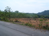 รูปย่อ Land, Separated plot, for sale on Jek Bae, Koh Chang, Trat Province, Thailand ขาย ที่ดิน แปลงย่อย เจ๊กแบ้ เกาะช้าง จังหวัด ตราด   รูปที่2
