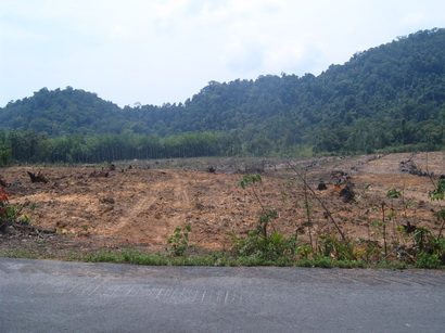 Land, Separated plot, for sale on Jek Bae, Koh Chang, Trat Province, Thailand ขาย ที่ดิน แปลงย่อย เจ๊กแบ้ เกาะช้าง จังหวัด ตราด   รูปที่ 1