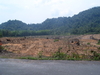 รูปย่อ Land, Separated plot, for sale on Jek Bae, Koh Chang, Trat Province, Thailand ขาย ที่ดิน แปลงย่อย เจ๊กแบ้ เกาะช้าง จังหวัด ตราด   รูปที่1
