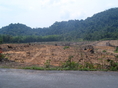Land, Separated plot, for sale on Jek Bae, Koh Chang, Trat Province, Thailand ขาย ที่ดิน แปลงย่อย เจ๊กแบ้ เกาะช้าง จังหวัด ตราด  