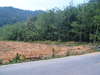 รูปย่อ Land, Separated plot, for sale on Jek Bae, Koh Chang, Trat Province, Thailand ขาย ที่ดิน แปลงย่อย เจ๊กแบ้ เกาะช้าง จังหวัด ตราด   รูปที่3