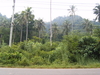 รูปย่อ Seaside Land for sale on Koh Chang (Sapparod Bay), Trat Province, Thailand ขายที่ดิน อ่าวสับปะรด เกาะช้าง จังหวัด ตราด  รูปที่3