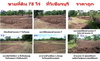 รูปย่อ ขายที่ดิน 78 ไร่ ที่วิเชียรบุรี ทำเลดี ราคาถูก (จัดสรรพื้นที่เพื่อแบ่งขาย) รูปที่4