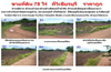 รูปย่อ ขายที่ดิน 78 ไร่ ที่วิเชียรบุรี ทำเลดี ราคาถูก (จัดสรรพื้นที่เพื่อแบ่งขาย) รูปที่1