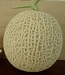 รูปย่อ จำหน่ายเมล็ดพันธุ์ เมล่อนญี่ปุ่น(net melon) รูปที่2