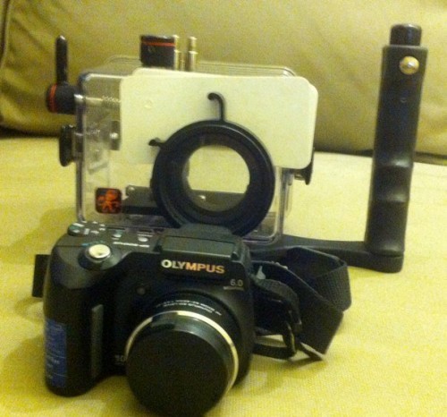 ขาย Olypus SP-500UZ + Ikelite housing= 20,000 บาท รูปที่ 3