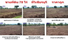 รูปย่อ ขายที่ดิน 78 ไร่ ที่วิเชียรบุรี ทำเลดี ราคาถูก (จัดสรรพื้นที่เพื่อแบ่งขาย) รูปที่3