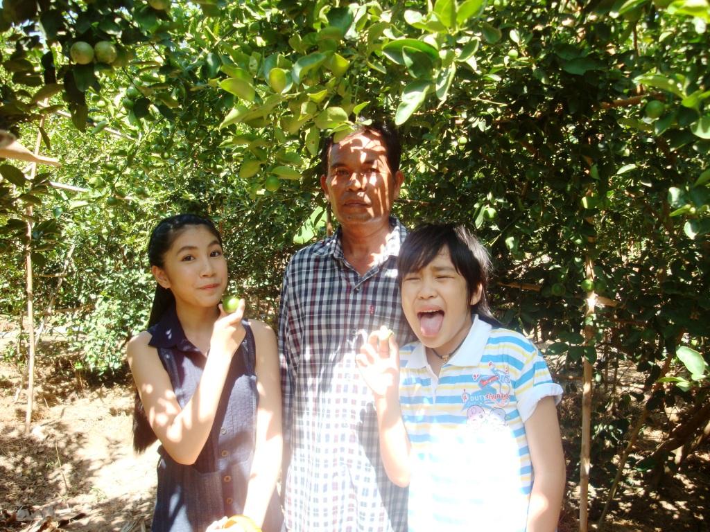 เชิญเที่ยวชมพร้อมตะลุยสวนมะนาวแป้นเมืองเพชรบุรี น้ำดี ลูกดก ผลโต จากสวนมะนาวคุณพ่อ เพชรบุรี(คุณตั้งใจปลูก เราตั้งใจขาย) รูปที่ 4