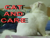 รูปย่อ น้องแมว เปอร์เซีย หน้าบี้ ขนแน่น สีขาว แมวร้านเราทุกตัวดูแลโดยสัตว์แพทย์จุฬา พร้อมใบเพ็ด 7500 บาทจ้า,,,,, รูปที่3