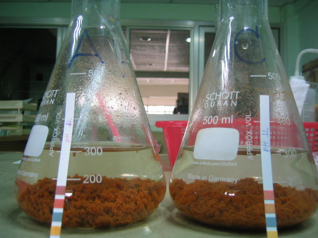 Poly Aluminum Chloride: PAC 30% รูปที่ 6
