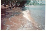 ที่พักราคาถูก เกาะช้าง จ.ตราด ปิ้งย่างประกอบอาหารได้ ลุงเฉลิมบังกะโล..... รูปที่ 3