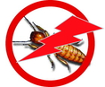 เฮิร์บ นาโนเทคโนโลยี ป้องกันและกำจัดปลวก/แมลง ด้วยสมุนไพรชีวภาพ