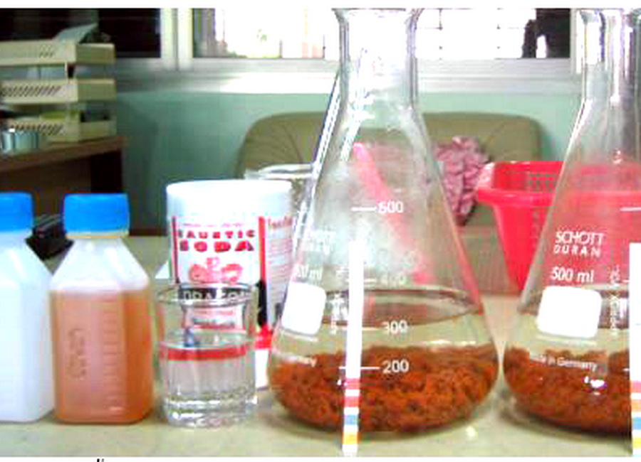 คลอรีนน้ำ 10% (Sodium Hypochlorite) รูปที่ 6