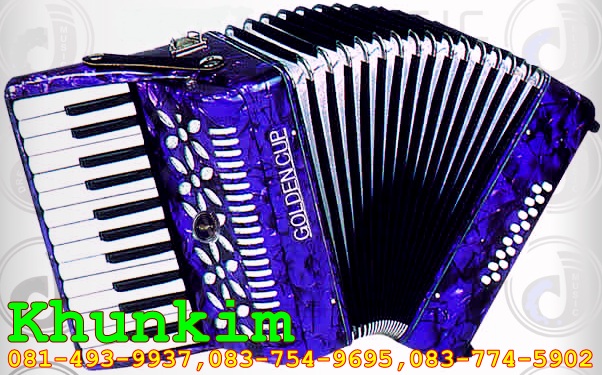 ขายเครื่องดนตรีแอ๊คคอร์เดี้ยน Accordion รูปที่ 2