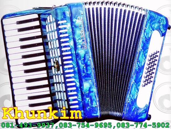 ขายเครื่องดนตรีแอ๊คคอร์เดี้ยน Accordion รูปที่ 4