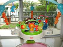 ขาย Fisher Price Precious Planet Blue Sky Jumperoo มือสอง สภาพดี รูปที่ 1