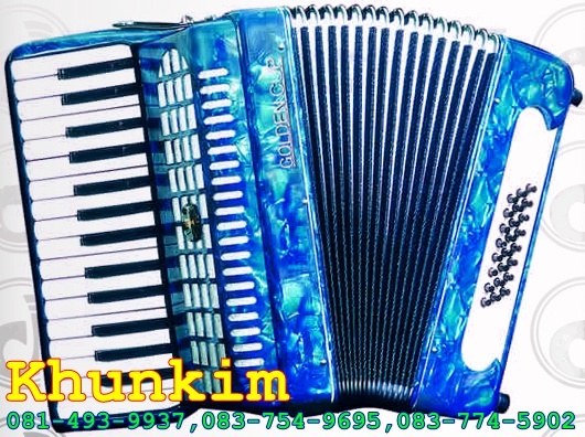 ขายเครื่องดนตรีแอ๊คคอร์เดี้ยน Accordion รูปที่ 3